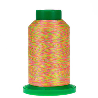 Amann - Isacord - 1000m (2579) - 9914 - NEON NIGHTS - 40wt Variegated 100% Polyester Embroidery Thread