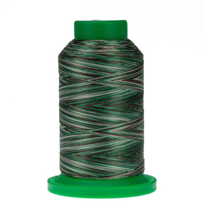 Amann - Isacord - 1000m (2579) - 9982 - PINE FOREST - 40wt Variegated 100% Polyester Embroidery Thread
