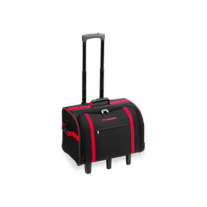 BERNINA - SL - Suitcase Artista Sewing Machine - Luggage