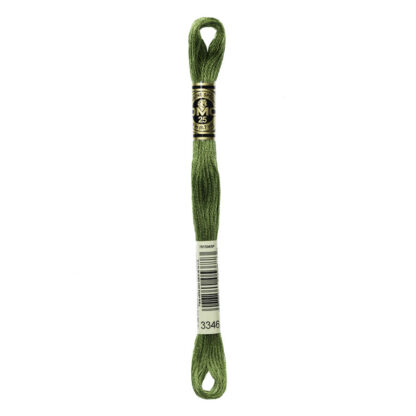 DMC - Six-Strand Embroidery Floss - 3346 - Hunter Green - 8m