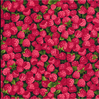 Fabric - Farmer Johns Garden Party - 13331 - Raspberry - Paint Brush Studio