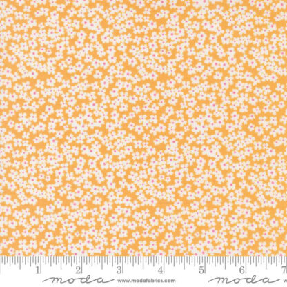 100% Cotton Fabric - Shine - 55672-15 - Orangesicle - By Sweetwater for Moda