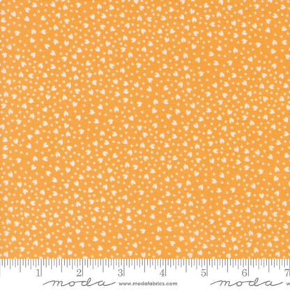 100% Cotton Fabric - Shine - 55675-15 - Orangesicle - By Sweetwater for Moda