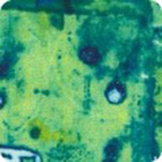 100% Combed Cotton - Industrial Imprints - 22867-56 - Pond - Leslie Tucker Jenison - 44 In wide