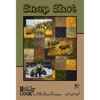 Patterns - Snap Shot - Villa Rosa Designs