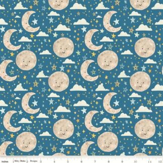 Juvenile Flannel - F11442 - COBALT - Echo Park Paper Co