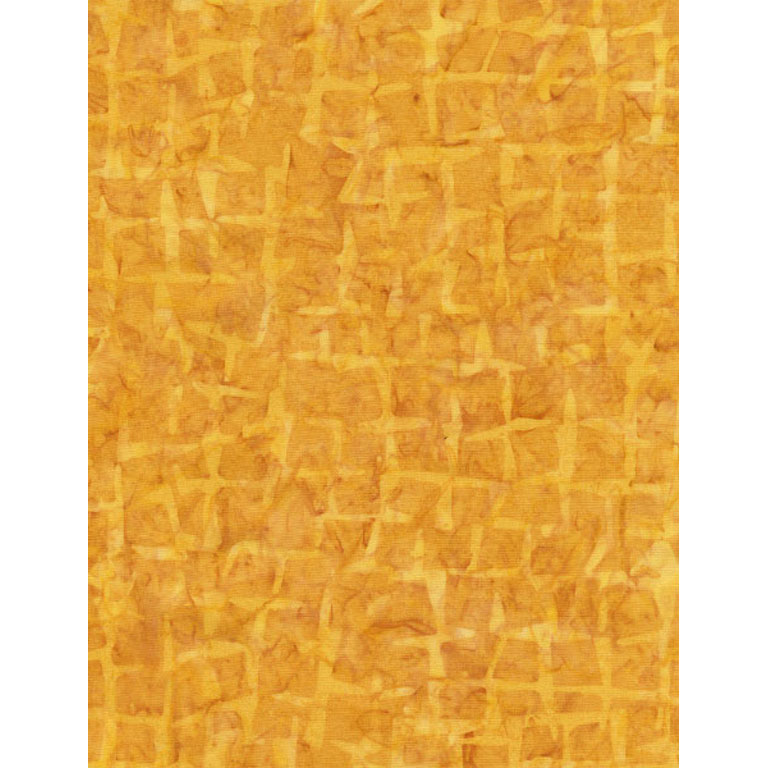Fabric - Painter's Palette - B3801 - Daffodil - Batik - Timeless Treasures