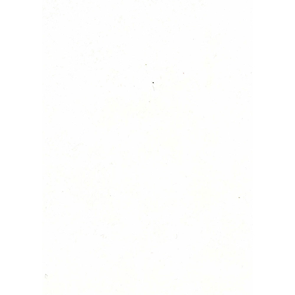 WoolFelt - 20% Wool 80% Rayon - 1100 - White - 12inx18in