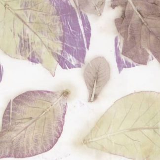 100% Cotton - Batiks Express Yourself (Botanicals Checkerboard) - 23537-339 - Rose Water - Riley Blake Designs