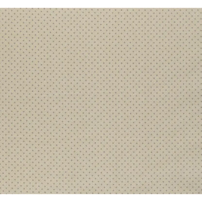 Sprinkles - Light Grey - A454-C2 - Laundry Basket Quilts