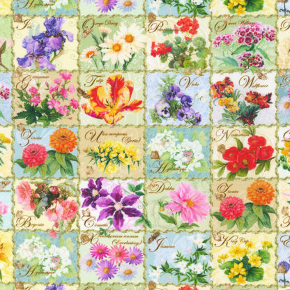 Seeds To Sew - AIGD-22189-238 - Garden - Robert Kaufman