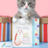 OESD - Embroidery Design - Punny Birthday Cards - 51338 - Image 3