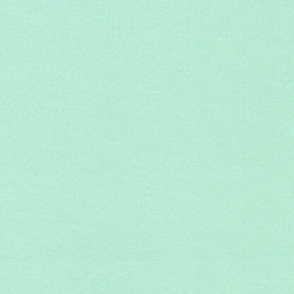 Cozy Cotton Flannel - Solids - F019-29 - Spring - Robert Kaufman