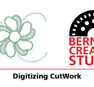 Bernina Creative Studio Software: Digitizing CutWork